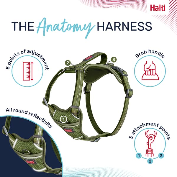 Halti Anatomy Harness Green Product Features Infographic 1080 Halti Anatomy Harness Green Product Features Infographic 1080