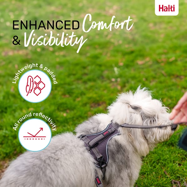 Halti Anatomy Harness Grey Comfort and Visibility Infographic 1080 Halti Anatomy Harness Grey Comfort and Visibility Infographic 1080
