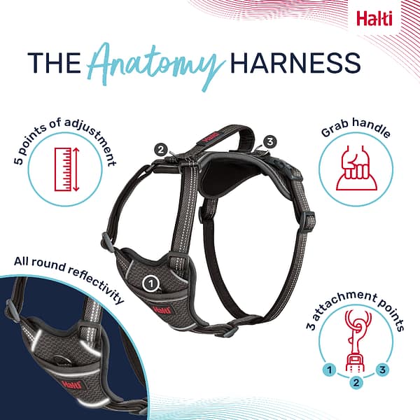 Halti Anatomy Harness Grey Product Features Infographic 1080 Halti Anatomy Harness Grey Product Features Infographic 1080