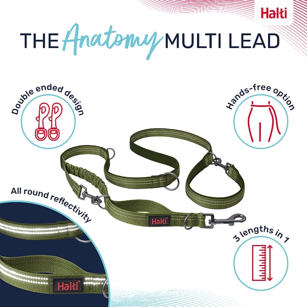 Halti Anatomy Lead Green Infographic 1080 Halti Anatomy Lead Green Infographic 1080