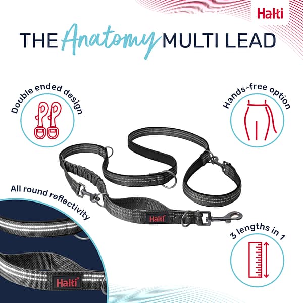 Halti Anatomy Lead Grey Product Features Infographic 1080 Halti Anatomy Lead Grey Product Features Infographic 1080