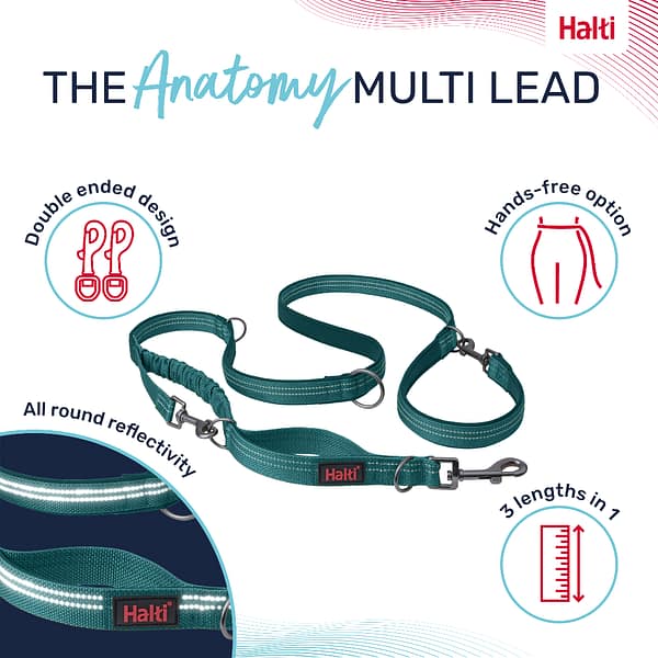 Halti Anatomy Lead Teal Product Features Infographic 1080 Halti Anatomy Lead Teal Product Features Infographic 1080