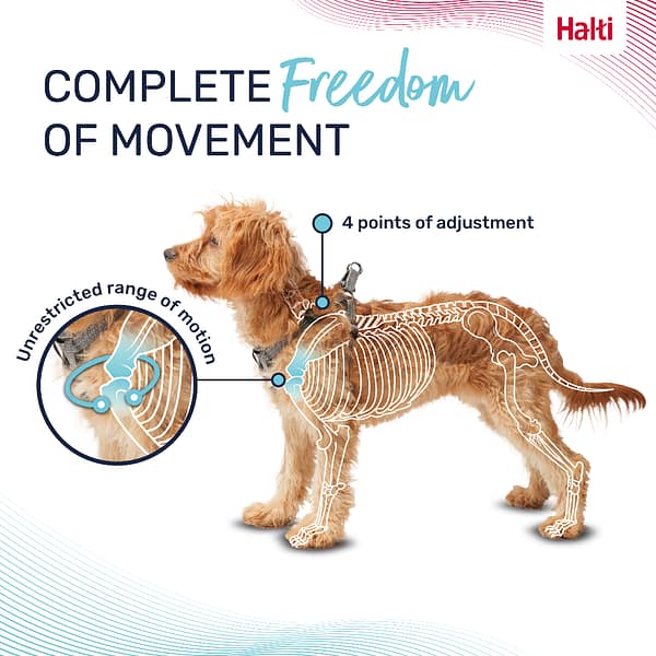 Halti Anatomy Puppy Harness Complete Freedom Infographic 1080 Halti Anatomy Puppy Harness Complete Freedom Infographic 1080