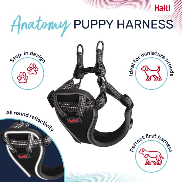 Halti Anatomy Puppy Harness Product Features Infographic 1080 Halti Anatomy Puppy Harness Product Features Infographic 1080
