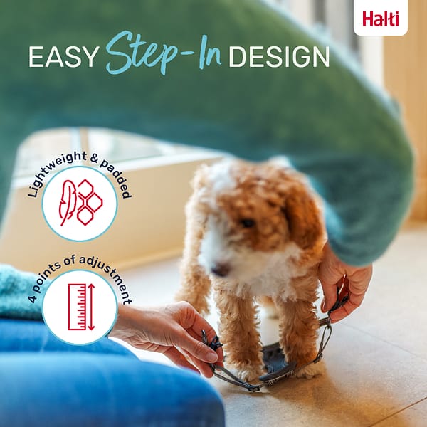 Halti Anatomy Puppy Harness Step-In Design Infographic 1080 Halti Anatomy Puppy Harness Step-In Design Infographic 1080