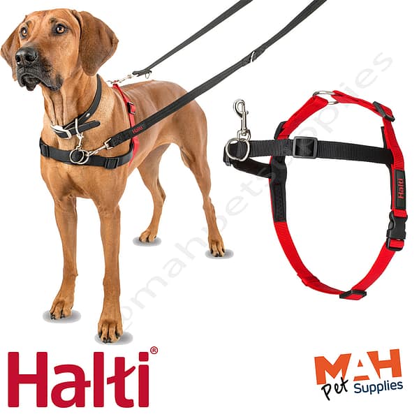 Halti Front Control Harness MAH Pet background 1024