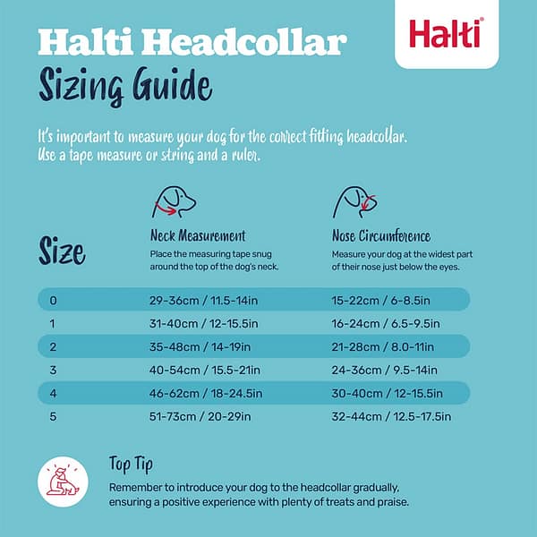 Halti Head Collar Size Guide NEW 1080 Halti Head Collar Size Guide NEW