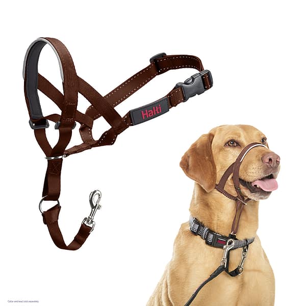 Halti Headcollar Deep Walnut 1024 Walnut coloured Head Colour, with a pic of Labrador wearing it too