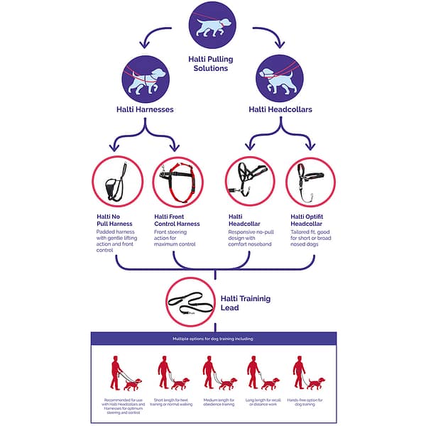 Halti No Pull Solutions 1024 Flow Chart of Halti No Pull Solutions detailing Headcollars and Harness options