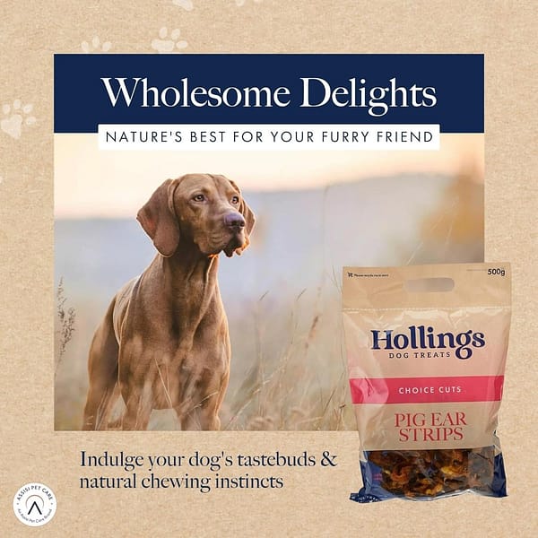 Hollings Pig Ear Strips 500g (4) Hollings Pig Ear Strips 500g (4)
