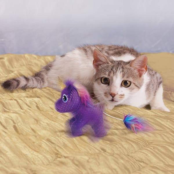 KONG Enchanted Buzzy Unicorn Cat Toy Lifestyle 1080px KONG Enchanted Buzzy Unicorn Cat Toy Lifestyle 1080px