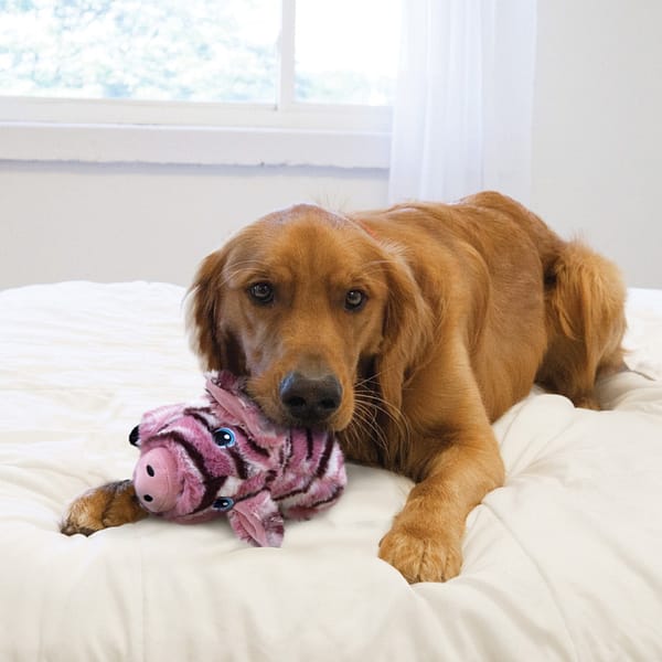 KONG Low Stuff Stripey Pig Lifestyle 1080 KONG Low Stuff Stripey Pig Lifestyle 1080