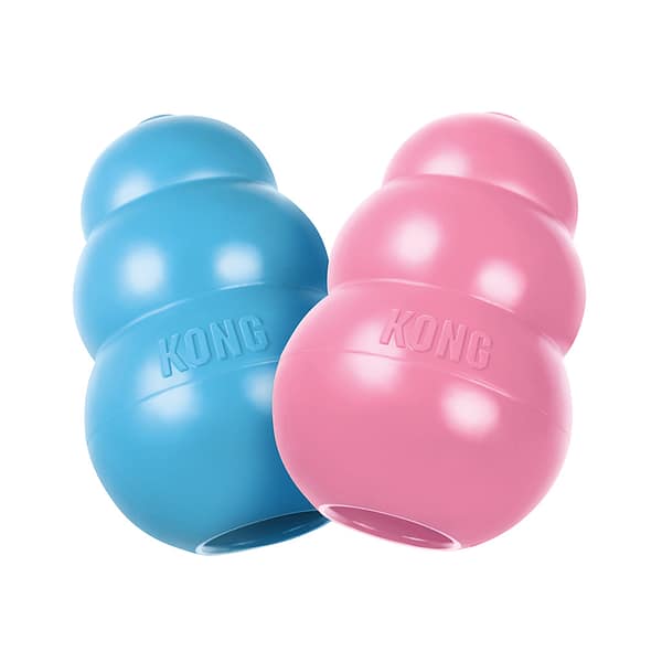 KONG Puppy 1024