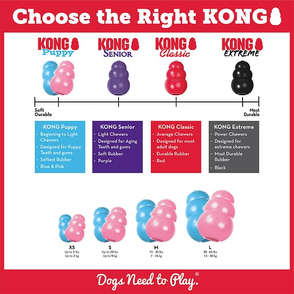 KONG Puppy Choose 1024 How to Choose the right Kong Toy for your Puppy Infographic