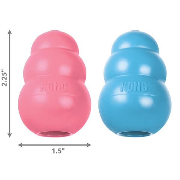 KONG Puppy XS Dimensions 1024 KONG Blue and Pink Puppy XS dog toy with dimensions