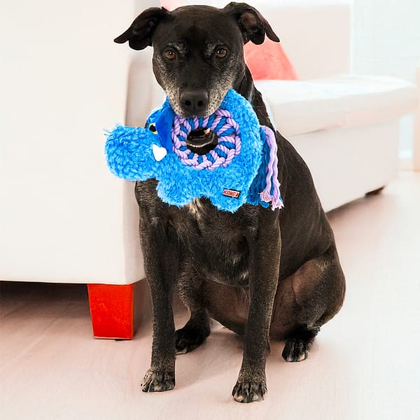 KONG Ringaroos Elephant Lifestyle 1080px KONG Ringaroos Elephant Lifestyle 1080px