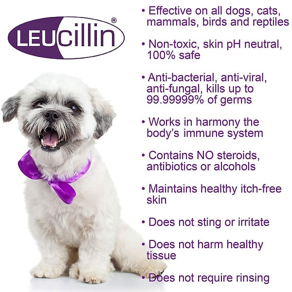 Leucillin F&B 1024 Leucillin Features & Benefits Info with small white dog image