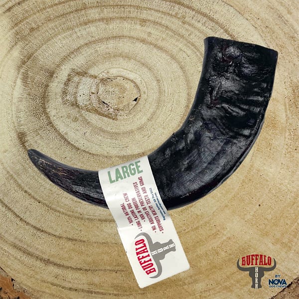 Nova Buffalo Horn Large2 1000 Nova Buffalo Horn Large2 1000