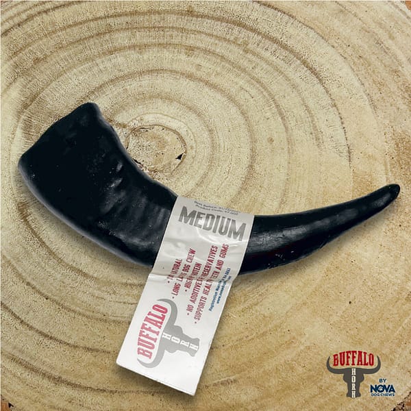 Nova Buffalo Horn Medium 1024