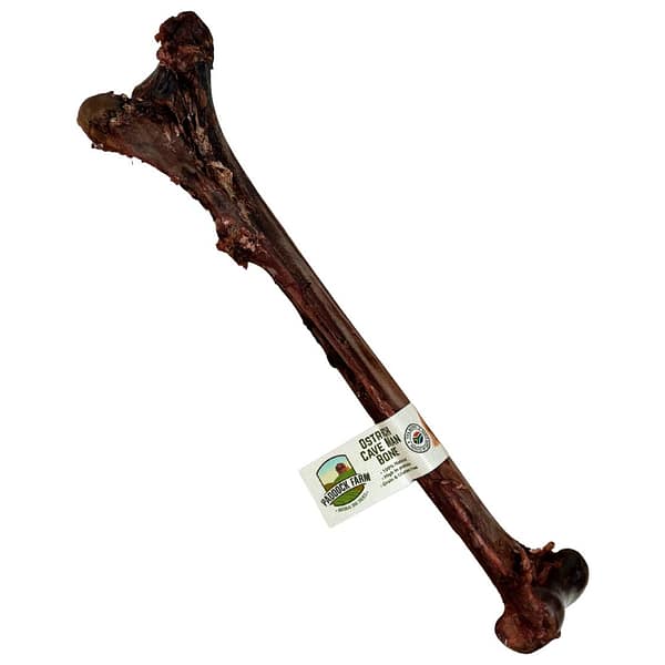 Ostrich-Caveman-bone Ostrich-Caveman-bone