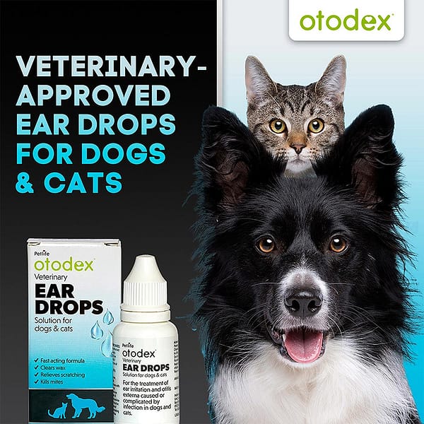 Otodex Ear Drops Approved Infographic 1080 Otodex Ear Drops Approved Infographic 1080