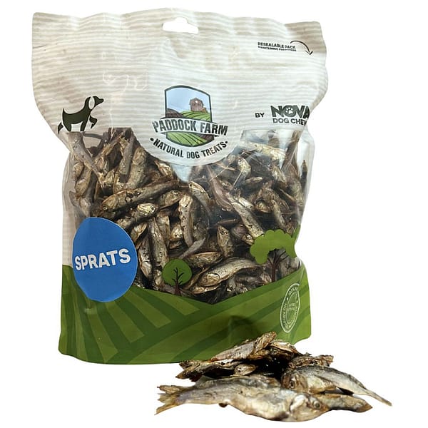 A clear, high-angle shot of a large, resealable bag of Paddock Farm Natural Dog Treats sprats. The bag is transparent in the middle, showing hundreds of small, dried silver fish (sprats). In the foreground, a small handful of the dried sprats are scattered on a white surface to show their texture and size. The packaging features a green field and farmhouse illustration, with a blue circle prominently labelled "SPRATS.