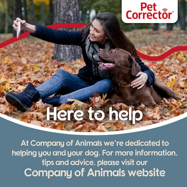 Pet Corrector Here to Help 1080px Pet Corrector Here to Help 1080px