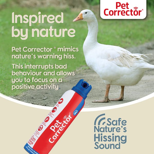 Pet Corrector Inspired by Nature 1080px Pet Corrector Inspired by Nature 1080px