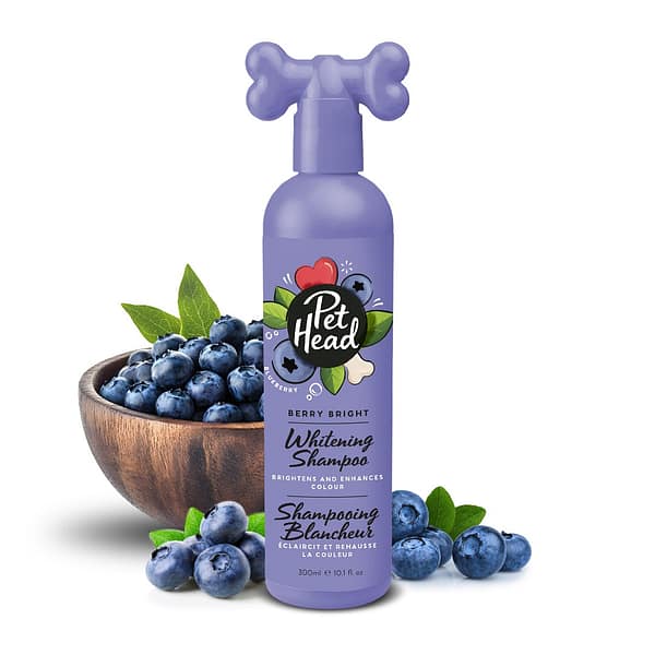 Pet Head Berry Bright Shampoo 1080px Pet Head Berry Bright Shampoo 1080px