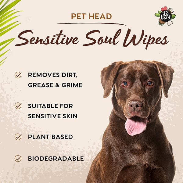 PH_Amazon_Grooming_Sensitive_Soul PH_Amazon_Grooming_Sensitive_Soul