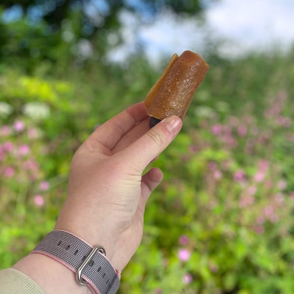 Pigs-in-Blankets-3 Pigs-in-Blankets-3