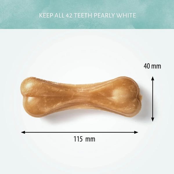 Rice Bone Size Rice Bone Size