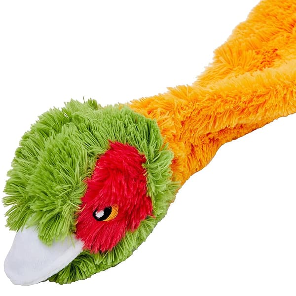 Shaky Pheasant Head 1080px Shaky Pheasant Head 1080px