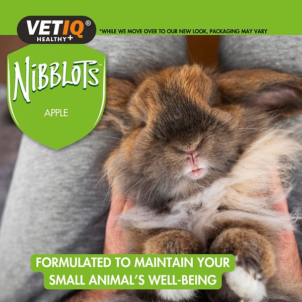 VETIQ Nibblots Apple for Small Animals Lifestyle-1.0 VETIQ Nibblots Apple for Small Animals Lifestyle-1.0