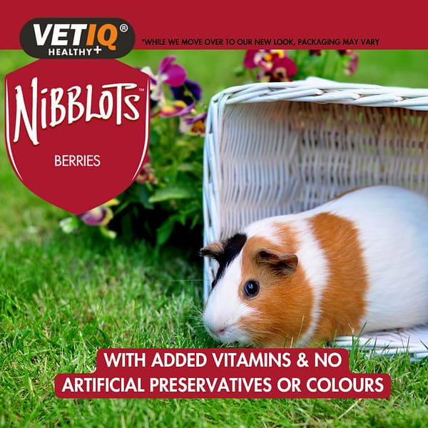 VETIQ Nibblots Berries for Small Animals Lifestyle-2.0 VETIQ Nibblots Berries for Small Animals Lifestyle-2.0