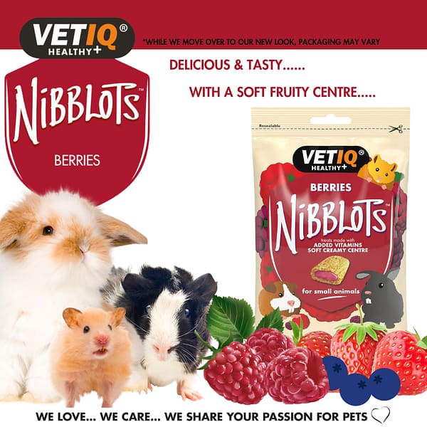 VETIQ Nibblots Berries for Small Animals Properties VETIQ Nibblots Berries for Small Animals Properties