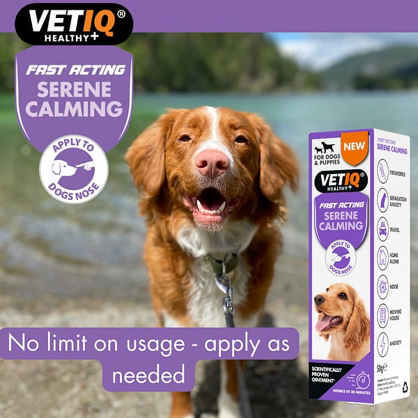 VetIQ Calming Ointment Lifestlye3 VetIQ Calming Ointment Lifestlye3