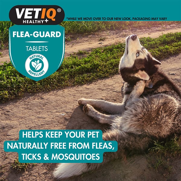 VetIQ Flea Guard Tablets Lifestyle 1 1000 VetIQ Flea Guard Tablets Lifestyle 1 1000
