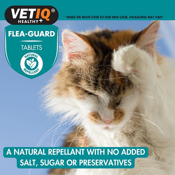 VetIQ Flea Guard Tablets Lifestyle 2 1000 VetIQ Flea Guard Tablets Lifestyle 2 1000