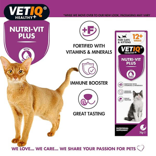 VetIQ Nutri-Vit Cats Features Benefits 1080 VetIQ Nutri-Vit Cats Features Benefits 1080
