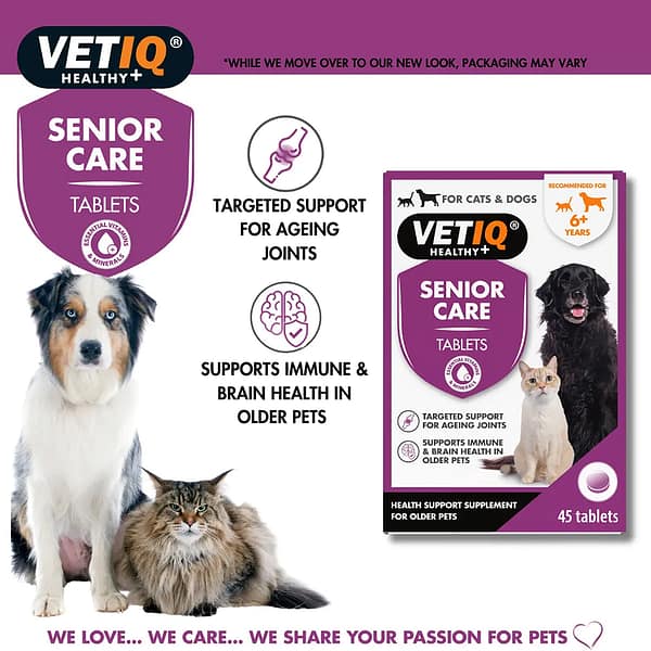 VetIQ Senior Care New F&B 1080 VetIQ Senior Care New F&B 1080