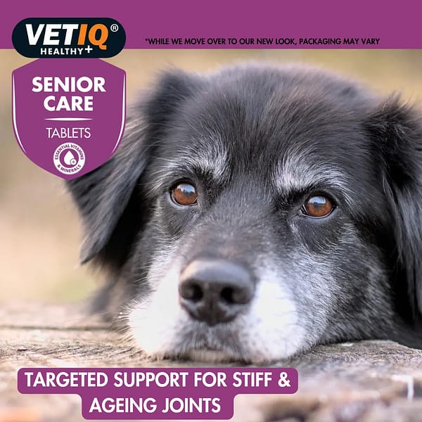 VetIQ Senior Care New Lifestyle 1080 VetIQ Senior Care New Lifestyle 1080