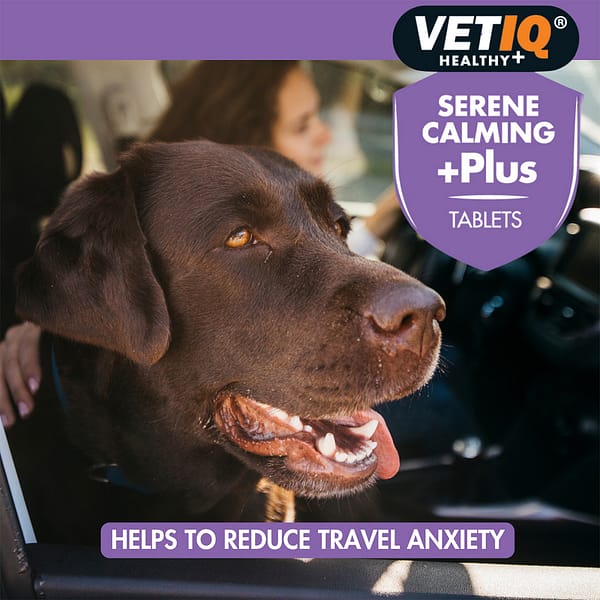 VetIQ Serene Calming Plus Lifestyle Chocolate Lab 1024 VetIQ Serene Calming Plus Lifestyle Chocolate Lab 1024