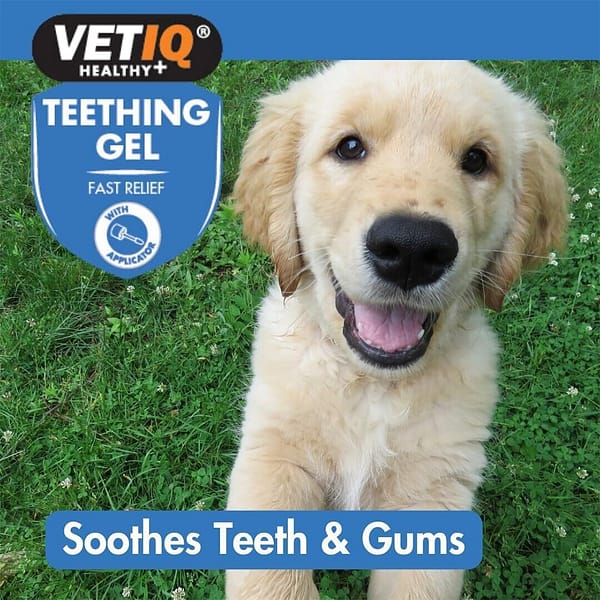 VetIQ Teething Gel New Soothes Gums 1000 VetIQ Teething Gel New Soothes Gums 1000
