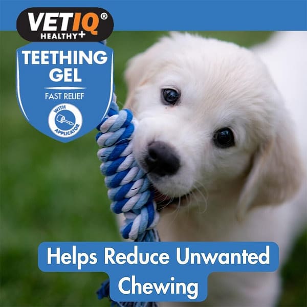 VetIQ Teething Gel New Unwanted Chewing 1000 VetIQ Teething Gel New Unwanted Chewing 1000