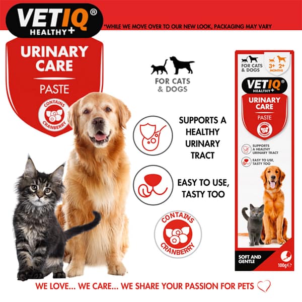 VetIQ Urinary Care Paste 2 1024 VetIQ Urinary Care Paste 2 1024