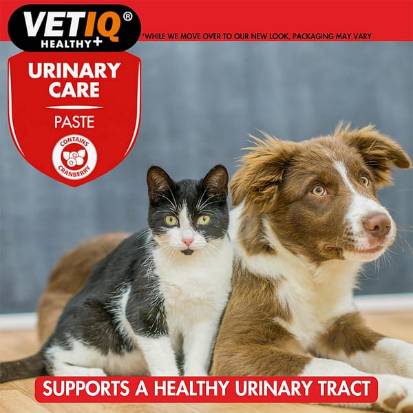VetIQ Urinary Care Paste 5 1024 VetIQ Urinary Care Paste 5 1024