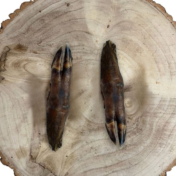 Wild Boar Trotters pair on log Close-up of a pair of textured Wild Boar Trotters resting on the bark of a rustic log - MAH Pet Supplies