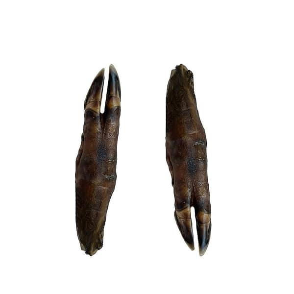 Two air-dried Wild Boar Trotter dog chews showing natural dark brown texture on a clean white background - MAH Pet Supplies