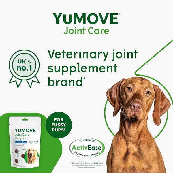 YuMove Joint Care Daily Bites No1 Brand Infographics 1080px YuMove Joint Care Daily Bites No1 Brand Infographics 1080px